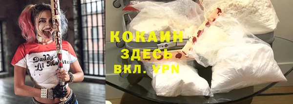 первитин Няндома