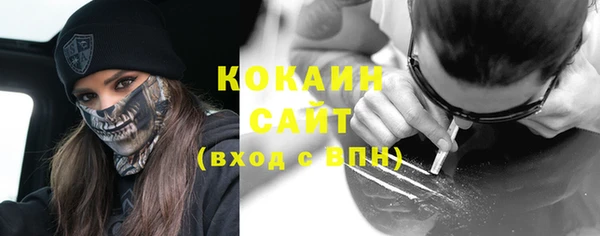 первитин Няндома