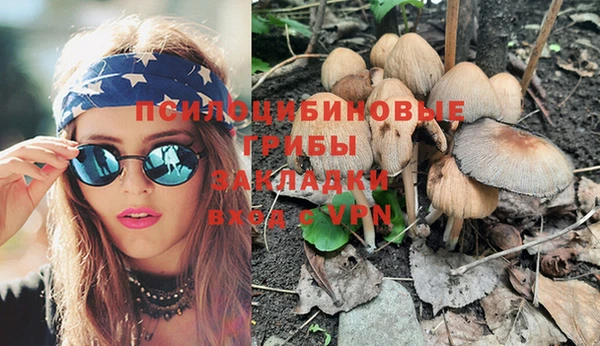 первитин Няндома