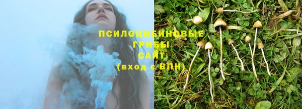 крисы Нягань