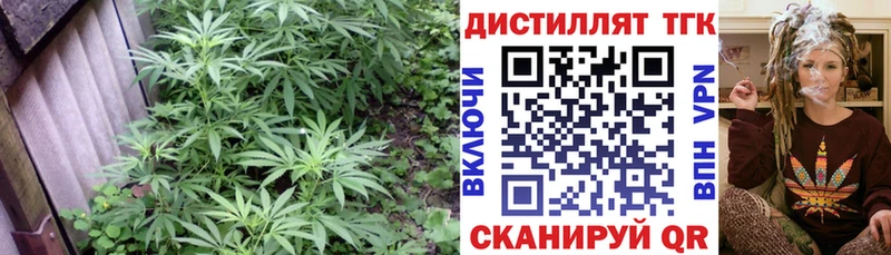 Дистиллят ТГК жижа  где купить наркотик  Калининград 