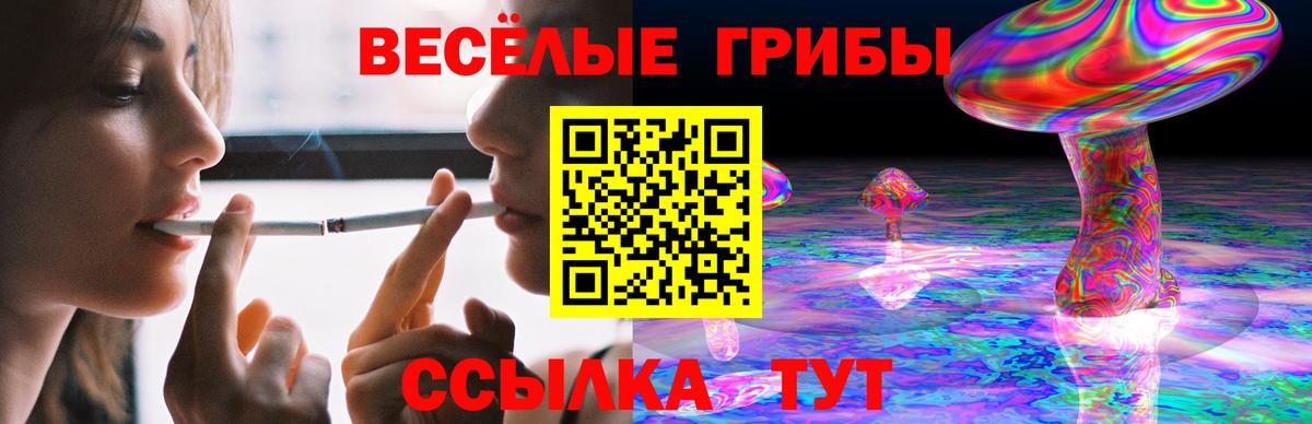 Галлюциногенные грибы Psilocybine cubensis Калининград
