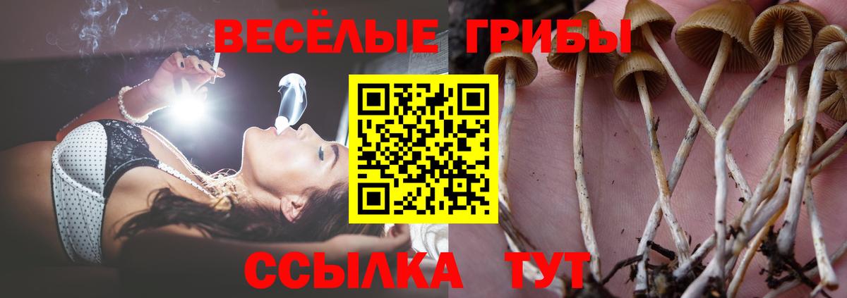 Псилоцибиновые грибы Magic Shrooms  Вход с VPN  Калининград 
